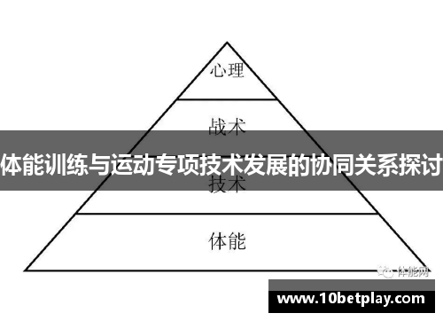 体能训练与运动专项技术发展的协同关系探讨